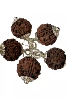 Original 5 Mukhi Nepali Rudraksha Silver Pendant at Wholesale Rate Chakra Healing Jewellery Five Faced Beads 1 Pcs