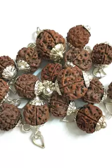 Original 5 Mukhi Nepali Rudraksha Silver Pendant at Wholesale Rate Chakra Healing Jewellery Five Faced Beads 1 Pcs