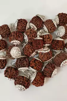 Original 6 Mukhi Nepali Rudraksha Silver Pendant at Wholesale Rate Chakra Healing Jewellery Six Faced Beads 1 Pcs
