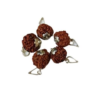Original 7 Mukhi Nepali Rudraksha Silver Pendant at Wholesale Rate Chakra Healing Jewellery Seven Faced Beads 1 Pcs 2