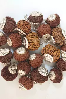 Original 9 Mukhi Nepali Rudraksha Silver Pendant at Wholesale Rate Chakra Healing Jewellery Nine Faced Beads 1 Pcs