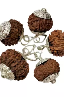 Original 11 Mukhi Nepali Rudraksha Silver Pendant at Wholesale Rate Chakra Healing Jewellery Eleven Faced Beads 1 Pcs