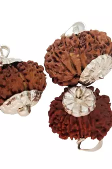 Original 12 Mukhi Nepali Rudraksha Silver Pendant at Wholesale Rate Chakra Healing Jewellery Twelve Faced Beads 1 Pcs