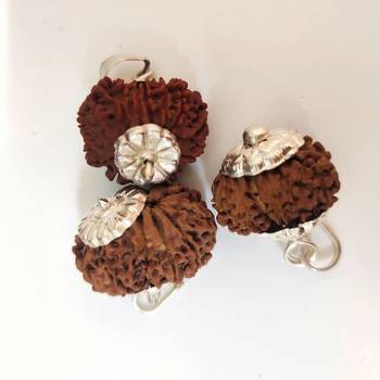 Original 12 Mukhi Nepali Rudraksha Silver Pendant at Wholesale Rate Chakra Healing Jewellery Twelve Faced Beads 1 Pcs 3