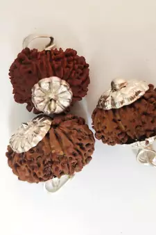 Original 12 Mukhi Nepali Rudraksha Silver Pendant at Wholesale Rate Chakra Healing Jewellery Twelve Faced Beads 1 Pcs