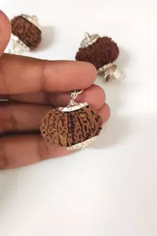 Original 12 Mukhi Nepali Rudraksha Silver Pendant at Wholesale Rate Chakra Healing Jewellery Twelve Faced Beads 1 Pcs