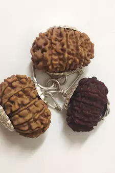 Original 13 Mukhi Nepali Rudraksha Silver Pendant at Wholesale Rate Chakra Healing Jewellery Thirteen Face Bead 1 Pcs