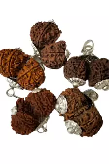 Original Shri Gauri Shankar Nepali Rudraksha Silver Pendant at Wholesale Rate Chakra Healing Jewellery Beads 1 Pcs