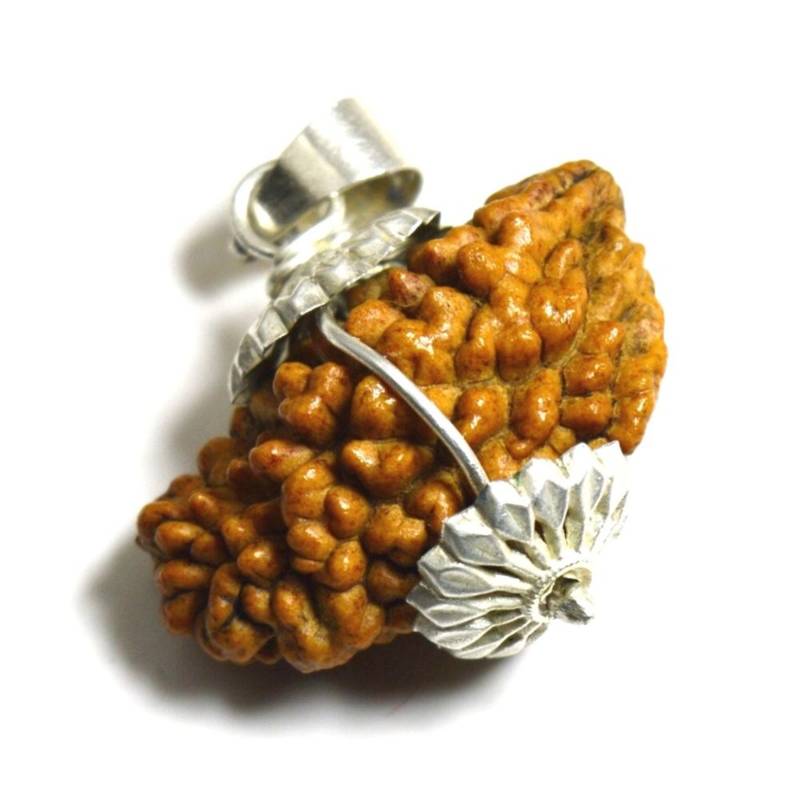 Original 1 Mukhi Nepali Rudraksha Capping Silver Plated Pendant at Wholesale Rate Chakra Healing One Face Beads 1 Pcs