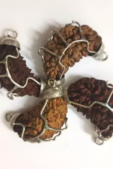 Original 1 Mukhi Nepali Rudraksha Silver Plated Pendant at Wholesale Rate Chakra Healing One Faced Kaju Beads 1 Pcs