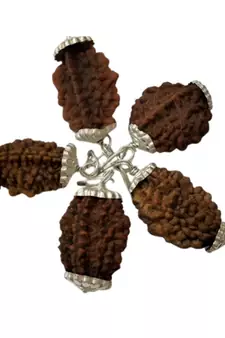 Original 2 Mukhi Nepali Rudraksha Silver Plated Pendant at Wholesale Rate Chakra Healing Two Faced Beads 1 Pcs
