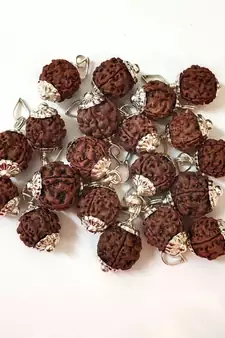 Original 4 Mukhi Nepali Rudraksha Silver Plated Pendant at Wholesale Rate Chakra Healing Four Faced Beads 1 Pcs