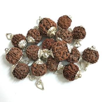 Original 5 Mukhi Nepali Rudraksha Silver Plated Pendant at Wholesale Rate Chakra Healing Five Faced Beads 1 Pcs 3
