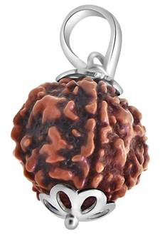Original 6 Mukhi Nepali Rudraksha Silver Plated Pendant at Wholesale Rate Chakra Healing Six Faced Beads 1 Pcs