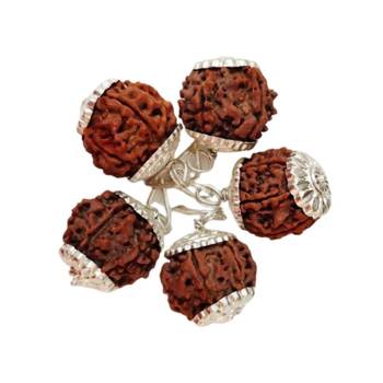 Original 6 Mukhi Nepali Rudraksha Silver Plated Pendant at Wholesale Rate Chakra Healing Six Faced Beads 1 Pcs 2
