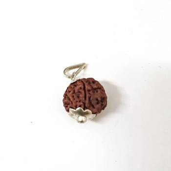 Original 7 Mukhi Nepali Rudraksha Silver Plated Pendant at Wholesale Rate Chakra Healing Seven Faced Beads 1 Pcs 1