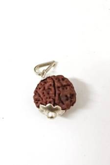 Original 7 Mukhi Nepali Rudraksha Silver Plated Pendant at Wholesale Rate Chakra Healing Seven Faced Beads 1 Pcs