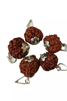 Original 7 Mukhi Nepali Rudraksha Silver Plated Pendant at Wholesale Rate Chakra Healing Seven Faced Beads 1 Pcs