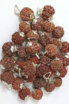 Original 7 Mukhi Nepali Rudraksha Silver Plated Pendant at Wholesale Rate Chakra Healing Seven Faced Beads 1 Pcs