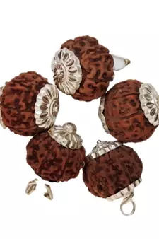 Original 8 Mukhi Nepali Rudraksha Silver Plated Pendant at Wholesale Rate Chakra Healing Eight Faced Beads 1 Pcs