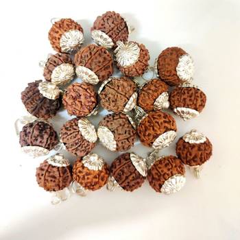 Original 8 Mukhi Nepali Rudraksha Silver Plated Pendant at Wholesale Rate Chakra Healing Eight Faced Beads 1 Pcs 3
