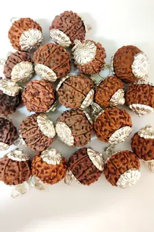 Original 8 Mukhi Nepali Rudraksha Silver Plated Pendant at Wholesale Rate Chakra Healing Eight Faced Beads 1 Pcs
