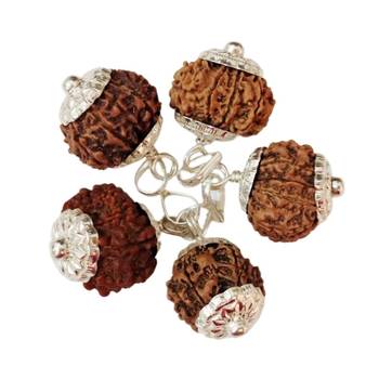 Mukhi Nepali Rudraksha Silver Plated Pendant Beads Ten 2