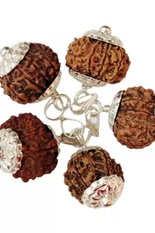 Original 10 Mukhi Nepali Rudraksha Silver Plated Pendant at Wholesale Rate Chakra Healing Ten Faced Beads 1 Pcs