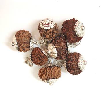 Mukhi Nepali Rudraksha Silver Plated Pendant Beads Ten 3