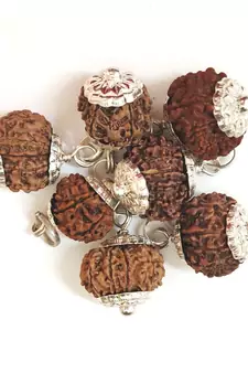 Original 10 Mukhi Nepali Rudraksha Silver Plated Pendant at Wholesale Rate Chakra Healing Ten Faced Beads 1 Pcs