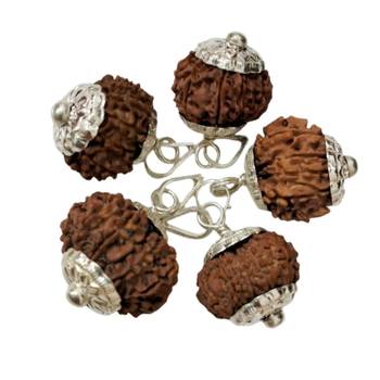 Original 11 Mukhi Nepali Rudraksha Silver Plated Pendant at Wholesale Rate Chakra Healing Eleven Faced Beads 1 Pcs 2