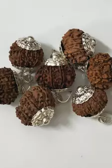 Original 11 Mukhi Nepali Rudraksha Silver Plated Pendant at Wholesale Rate Chakra Healing Eleven Faced Beads 1 Pcs