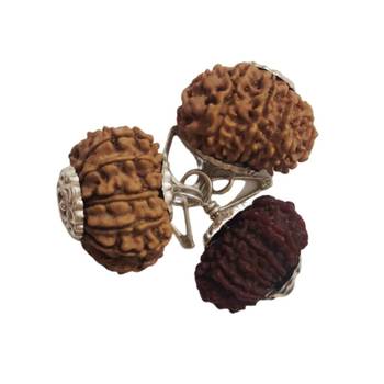 Original 13 Mukhi Nepali Rudraksha Silver Plated Pendant at Wholesale Rate Chakra Healing Thirteen Faced Beads 1 Pcs 2