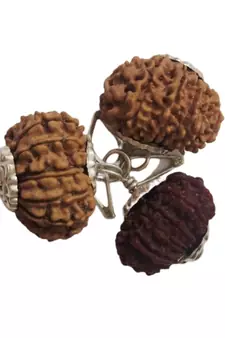 Original 13 Mukhi Nepali Rudraksha Silver Plated Pendant at Wholesale Rate Chakra Healing Thirteen Faced Beads 1 Pcs