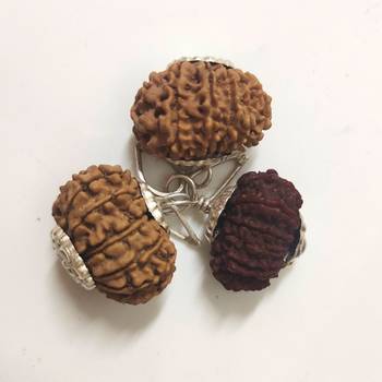 Original 13 Mukhi Nepali Rudraksha Silver Plated Pendant at Wholesale Rate Chakra Healing Thirteen Faced Beads 1 Pcs 3