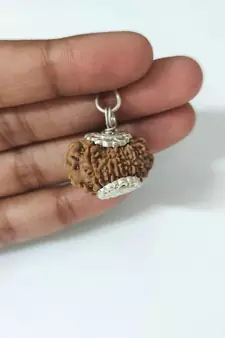 Original 13 Mukhi Nepali Rudraksha Silver Plated Pendant at Wholesale Rate Chakra Healing Thirteen Faced Beads 1 Pcs