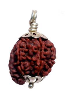 Original Shree Ganesha Nepali Rudraksha Silver Plated Pendant at Wholesale Rate Chakra Healing Jewellery Beads 1 Pcs