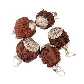 Original Shree Ganesha Nepali Rudraksha Silver Plated Pendant at Wholesale Rate Chakra Healing Jewellery Beads 1 Pcs 2