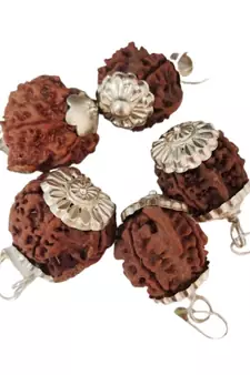 Original Shree Ganesha Nepali Rudraksha Silver Plated Pendant at Wholesale Rate Chakra Healing Jewellery Beads 1 Pcs