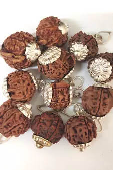 Original Shree Ganesha Nepali Rudraksha Silver Plated Pendant at Wholesale Rate Chakra Healing Jewellery Beads 1 Pcs
