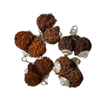 Original Shri Gauri Shankar Nepali Rudraksha Silver Plated Pendant at Wholesale Rate Chakra Healing Beads 1 Pcs 2
