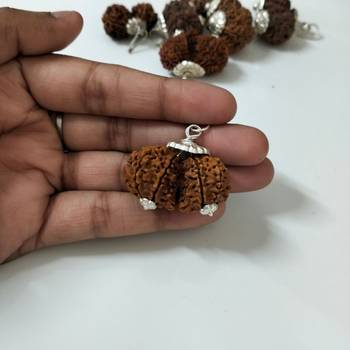 Original Shri Gauri Shankar Nepali Rudraksha Silver Plated Pendant at Wholesale Rate Chakra Healing Beads 1 Pcs 4