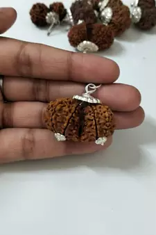 Original Shri Gauri Shankar Nepali Rudraksha Silver Plated Pendant at Wholesale Rate Chakra Healing Beads 1 Pcs