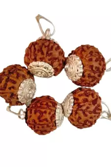Original 7 Mukhi Indonesia Rudraksha Silver Plated Pendant at Wholesale Rate Chakra Healing Seven Faced Beads 1 Pcs