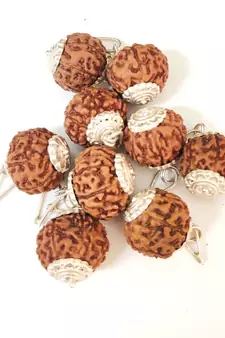 Original 7 Mukhi Indonesia Rudraksha Silver Plated Pendant at Wholesale Rate Chakra Healing Seven Faced Beads 1 Pcs