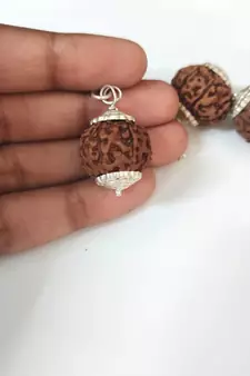 Original 7 Mukhi Indonesia Rudraksha Silver Plated Pendant at Wholesale Rate Chakra Healing Seven Faced Beads 1 Pcs