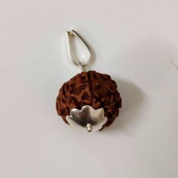 Original 8 Mukhi Indonesia Rudraksha Silver Plated Pendant at Wholesale Rate Chakra Healing Eight Faced Beads 1 Pcs 1