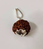Original 8 Mukhi Indonesia Rudraksha Silver Plated Pendant at Wholesale Rate Chakra Healing Eight Faced Beads 1 Pcs