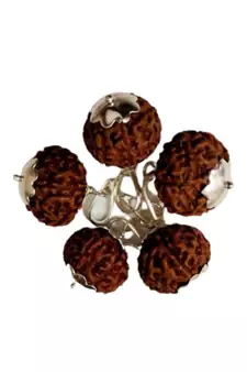 Original 8 Mukhi Indonesia Rudraksha Silver Plated Pendant at Wholesale Rate Chakra Healing Eight Faced Beads 1 Pcs