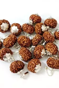 Original 8 Mukhi Indonesia Rudraksha Silver Plated Pendant at Wholesale Rate Chakra Healing Eight Faced Beads 1 Pcs